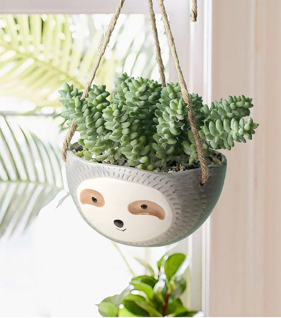 Charming Ceramic Hanging Planter Pot