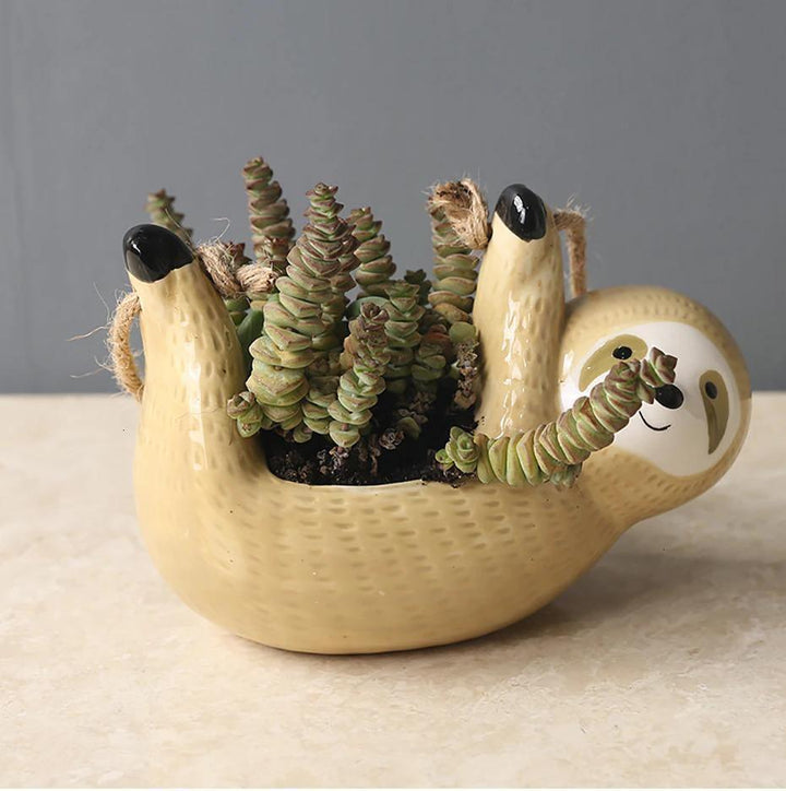 Charming Ceramic Hanging Planter Pot