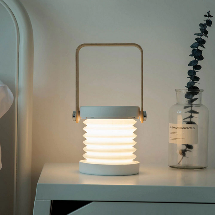 Cozy Rechargeable Desk Lamp 1