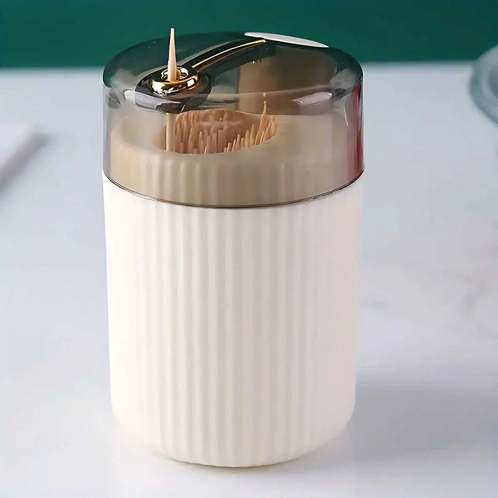 Elegant Plastic Toothpick Dispenser