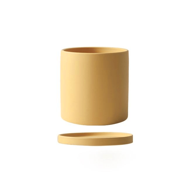 Timeless Ceramic Planter with Saucer